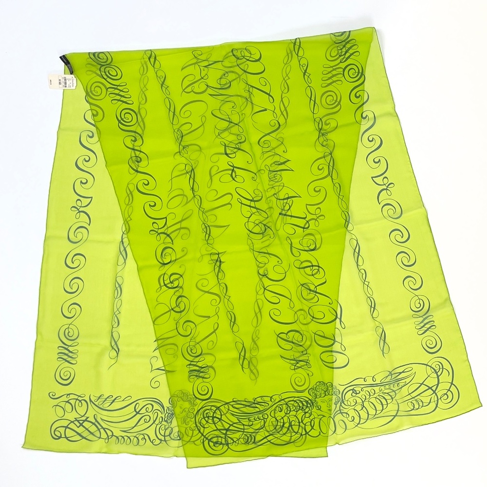 NWT! Rare Hermes Sheer Rectangular Scarf Shawl